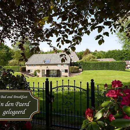 In Den Paerd Gelogeerd B&B