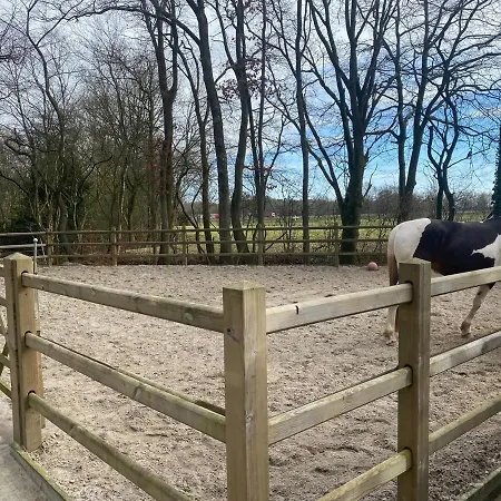 In Den Paerd Gelogeerd * Heerde