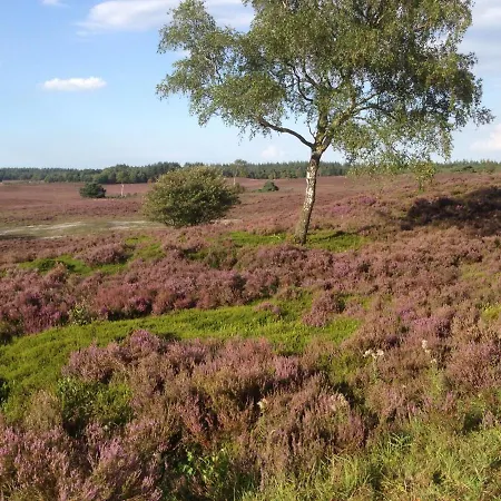 Bed & Breakfast In Den Paerd Gelogeerd *