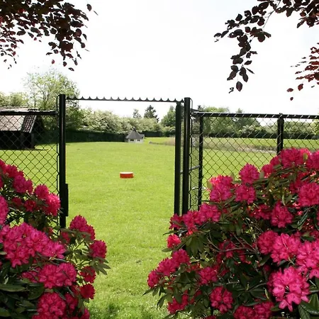 Bed & Breakfast In Den Paerd Gelogeerd Heerde