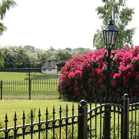 In Den Paerd Gelogeerd