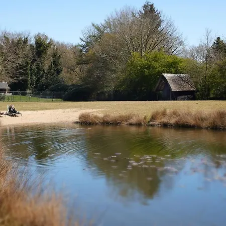 Bed & Breakfast In Den Paerd Gelogeerd Heerde